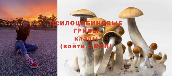 spice Новодвинск
