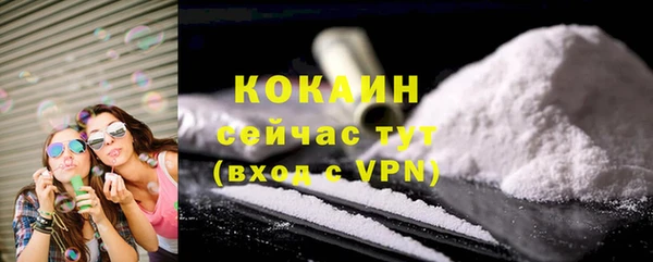 spice Новодвинск