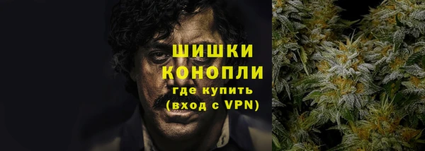 apvp Новозыбков