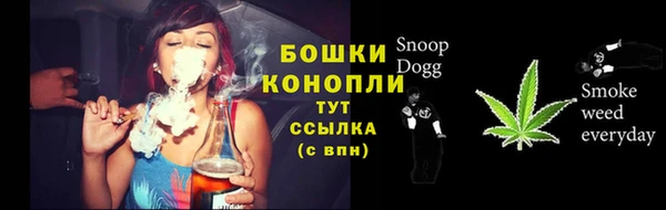 spice Новодвинск