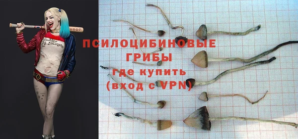 apvp Новозыбков