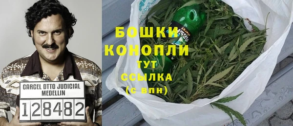 spice Новодвинск