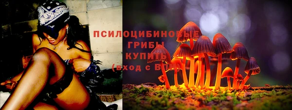apvp Новозыбков